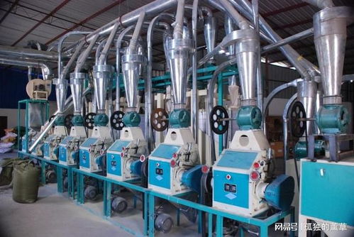 2025年11月面粉機(jī)廠家推薦 產(chǎn)能、專利與環(huán)保三維數(shù)據(jù)透視